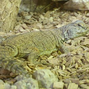 Some Photos of Animals At Mediterraneo Marine Park, Malta