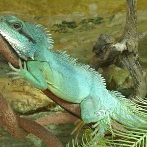 Some Photos of Animals At Mediterraneo Marine Park, Malta