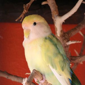 Some Photos of Animals At Mediterraneo Marine Park, Malta