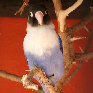 Some Photos of Animals At Mediterraneo Marine Park, Malta