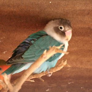 Some Photos of Animals At Mediterraneo Marine Park, Malta