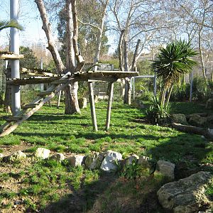 Sumatran Tiger Enclosure
