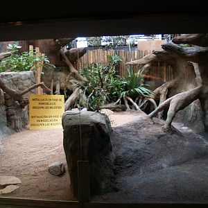 Terrarium - Zoo Barcelona