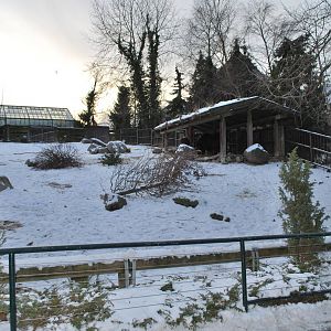 Winter and snow in Copenhagen: The musk ox enclosure