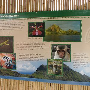 Land of the Dragons - Graphics