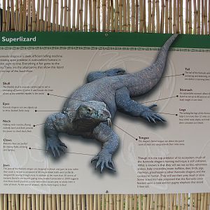 Land of the Dragons - Graphics