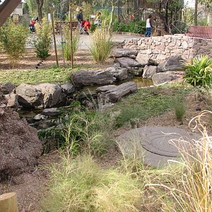 Land of the Dragons - Visitor Area Landscaping