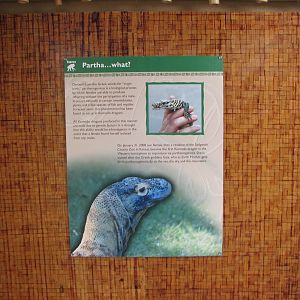 Land of the Dragons - Exhibit Graphics