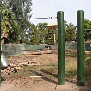 Elephant Viewing Area