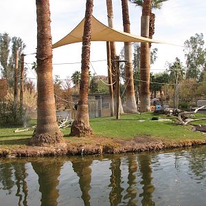 Buff-Cheeked Gibbon Island
