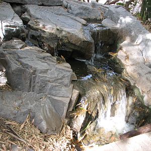 Tropical Flights - Waterfall
