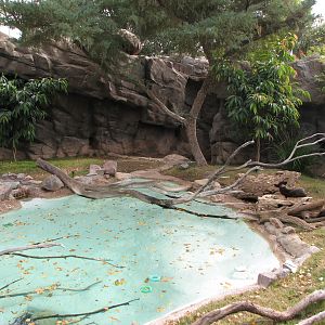 Spotted Necked Otter Exhibit