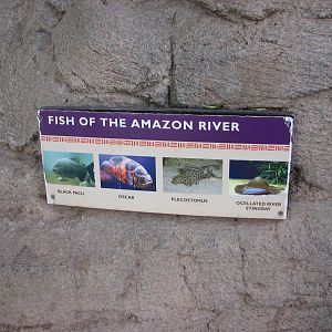 Forest of Uco Aquarium Signage