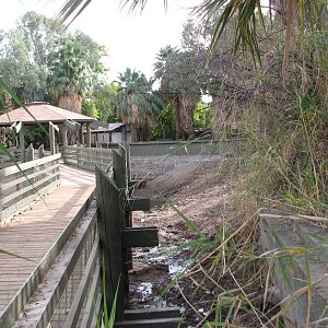 Former Capybara Swamp