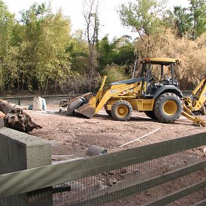 Former Capybara Swamp