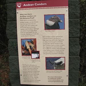 Signage at the Condor Exhibit