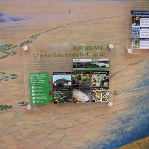 Display about water usage in Phoenix on the Arizona Trail