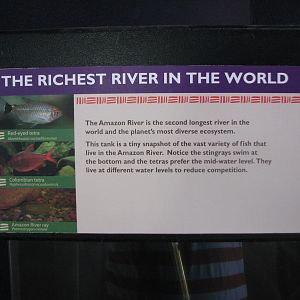 Signage on the Aquarium at the Front Entrance