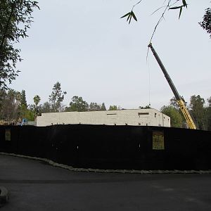 Bring In The Crane! (Pachyderm Forest Construction)