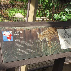 Serval Sign