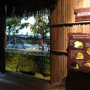 Discovery Centre, Fragile Forest
