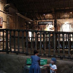 Discovery Centre, Fragile Forest