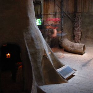 Discovery Centre, Fragile Forest