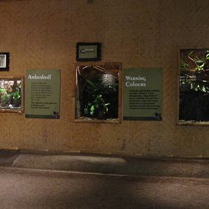 Discovery Centre, Fragile Forest