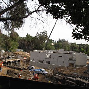 Pachyderm Forest Construction Site 1-15-2010
