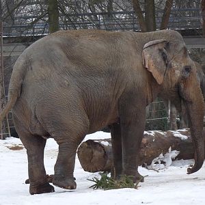 Karlsruhe Zoo