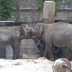 Karlsruhe Zoo