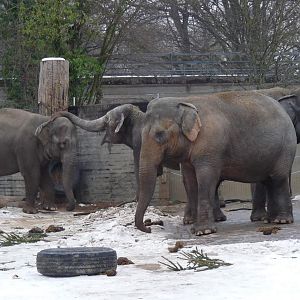 Karlsruhe Zoo