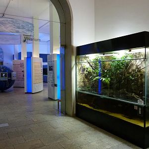 Karlsruhe Aquarium