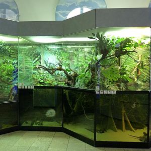 Karlsruhe Aquarium