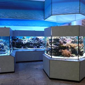 Karlsruhe Aquarium