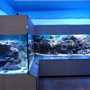 Karlsruhe Aquarium