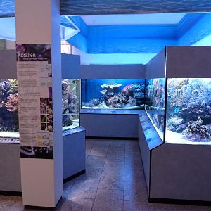 Karlsruhe Aquarium