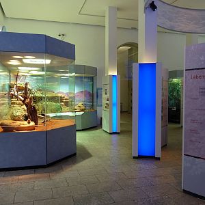 Karlsruhe Aquarium