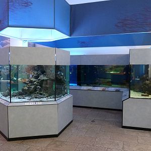 Karlsruhe Aquarium