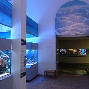 Karlsruhe Aquarium