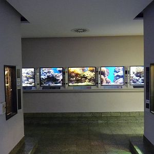 Karlsruhe Aquarium