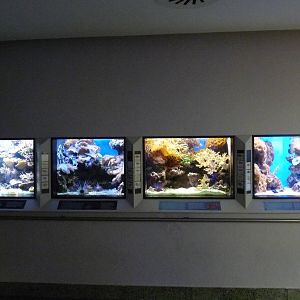 Karlsruhe Aquarium