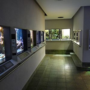 Karlsruhe Aquarium