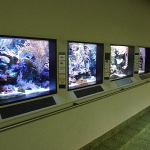 Karlsruhe Aquarium