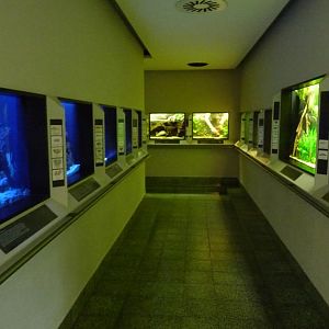 Karlsruhe Aquarium