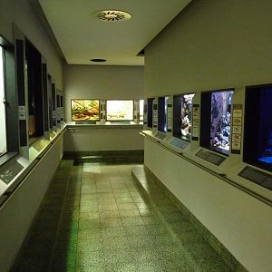 Karlsruhe Aquarium