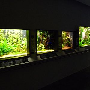 Karlsruhe Aquarium