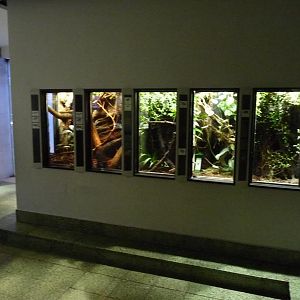 Karlsruhe Aquarium