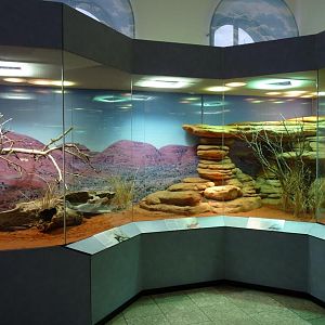 Karlsruhe Aquarium
