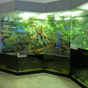 Karlsruhe Aquarium
